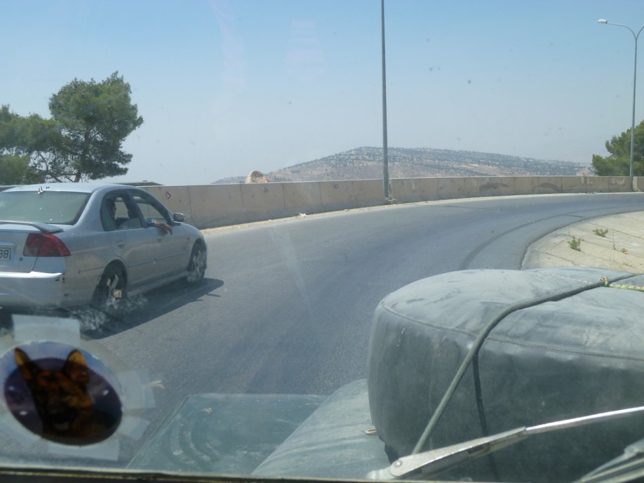 P1000358