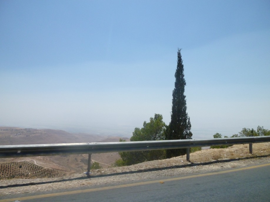 P1000372
