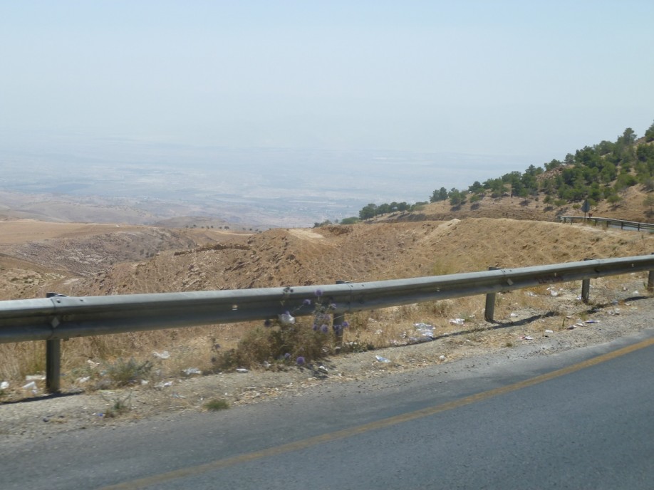 P1000382