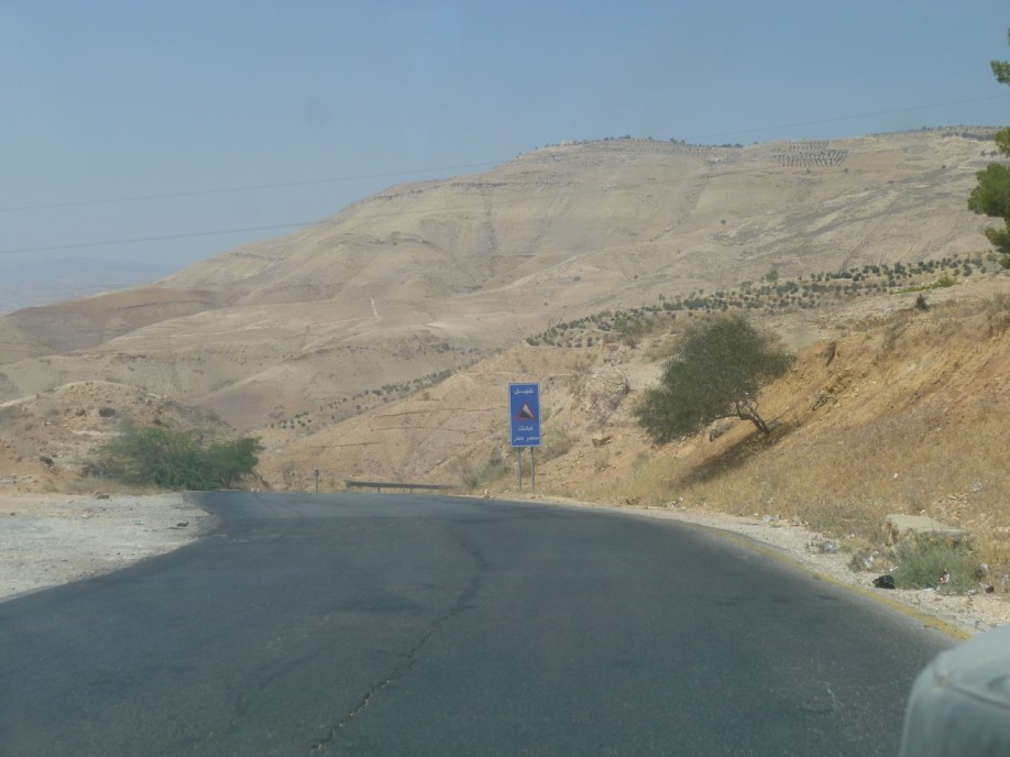 P1000392