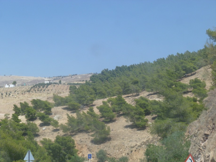 P1000393
