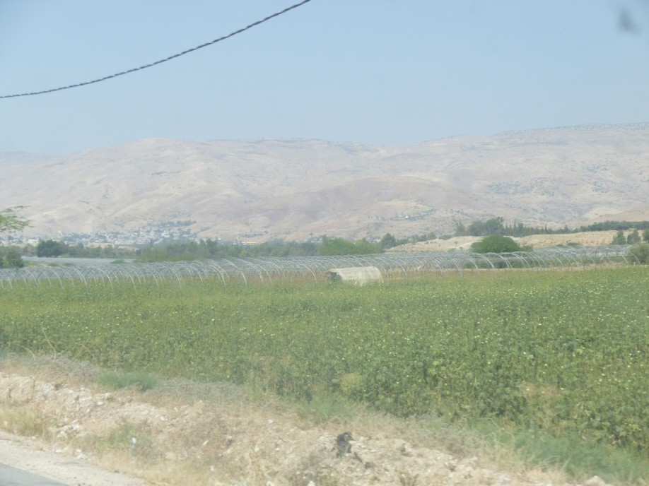 P1000426