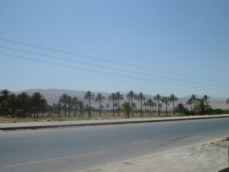 P1000456
