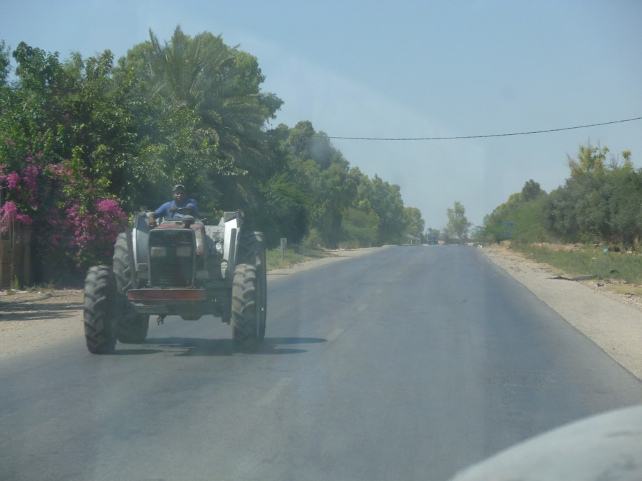 P1000461