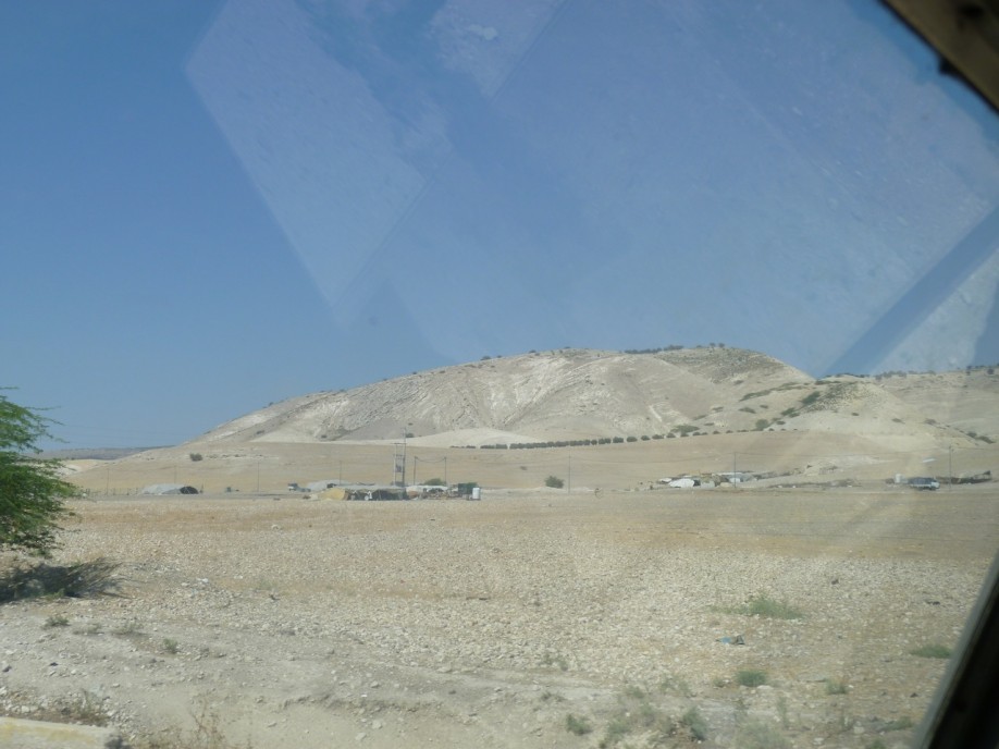 P1000505