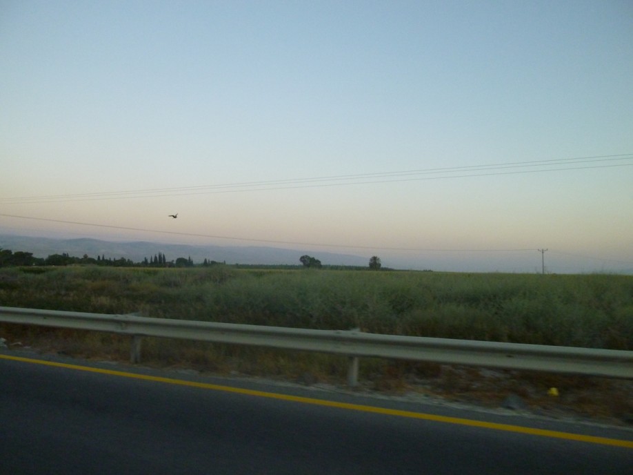 P1000533