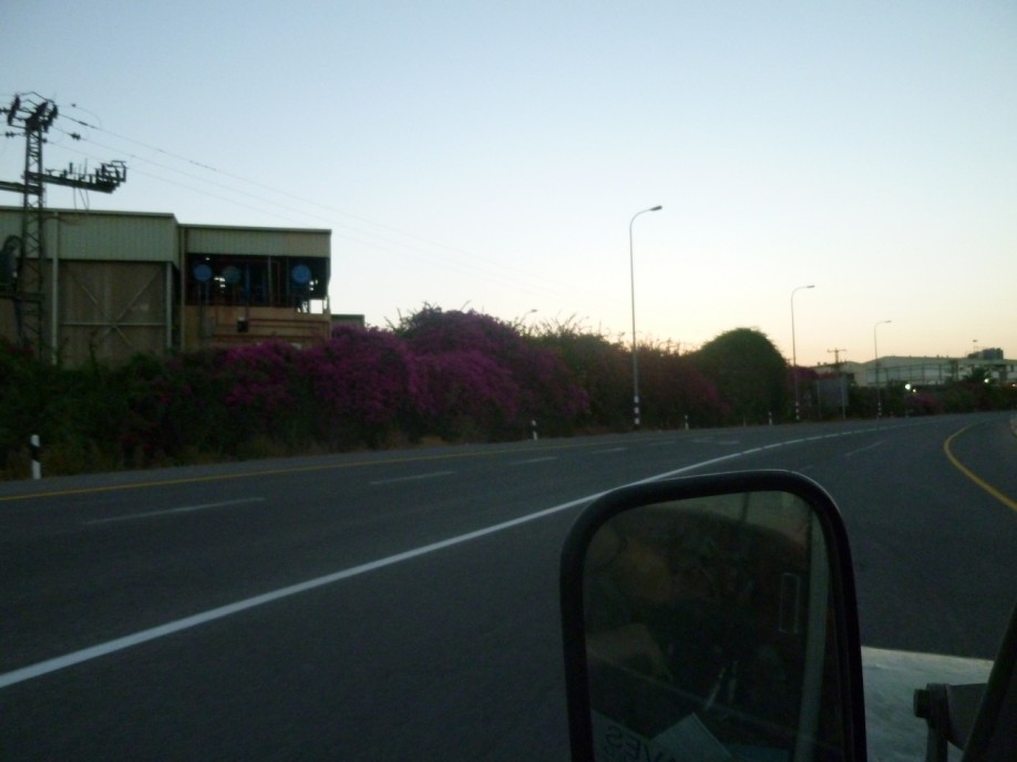 P1000542