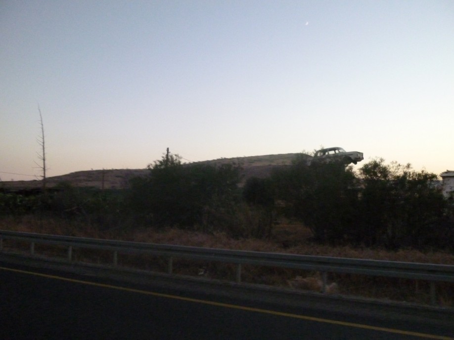P1000561