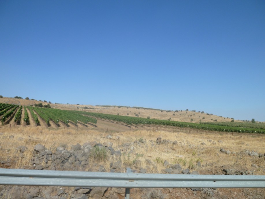 P1000728