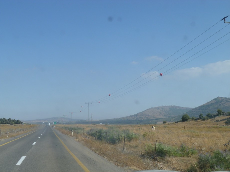 P1000733