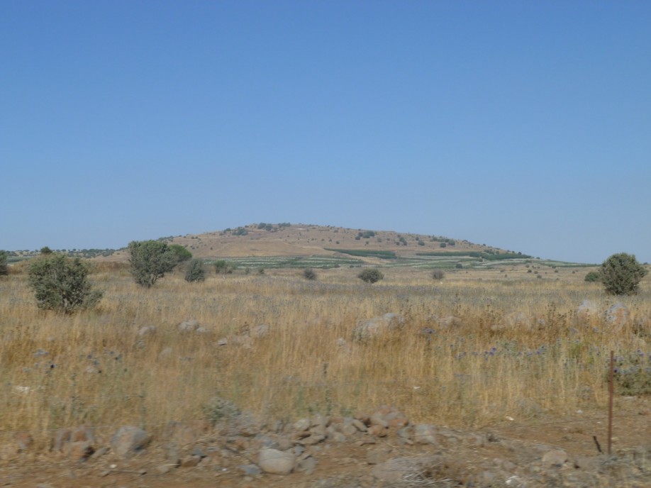P1000738
