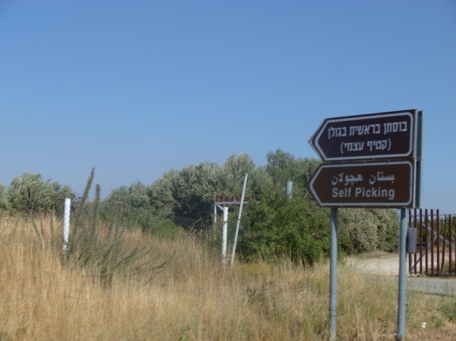 P1000741