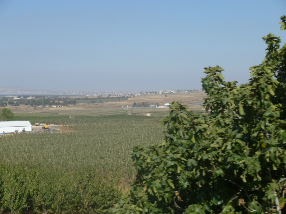 P1000743