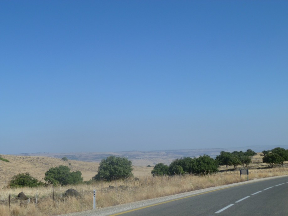 P1000797