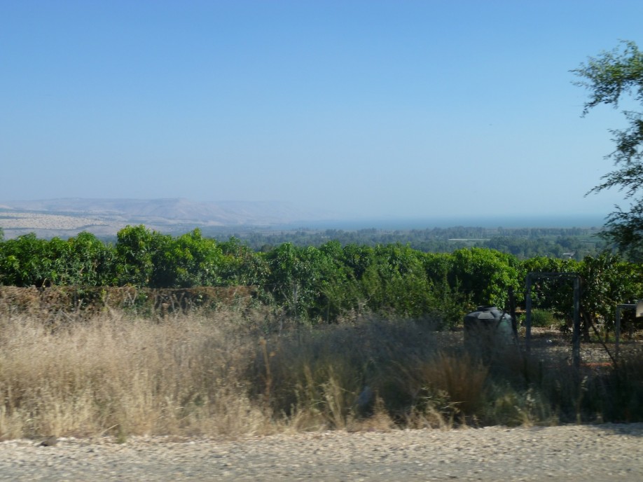 P1000818