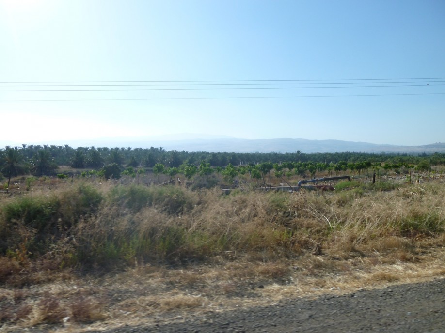 P1000832