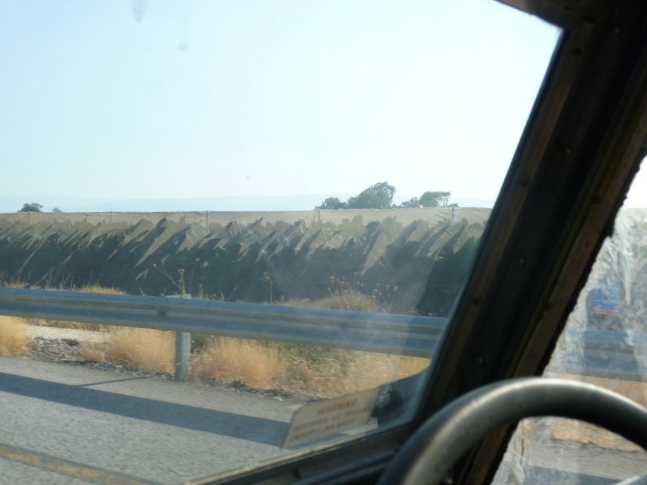 P1000846