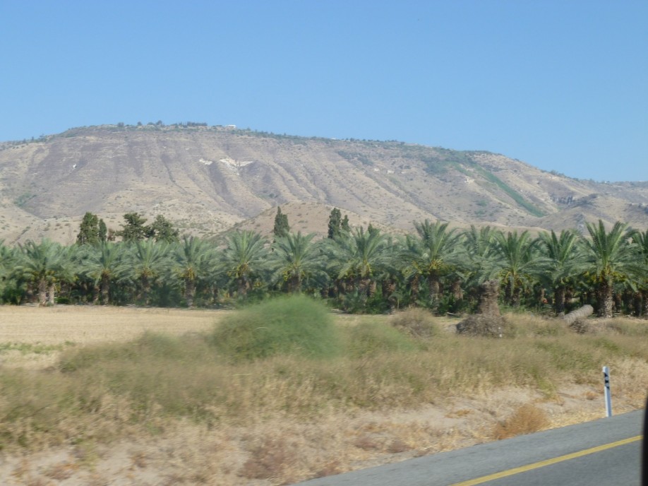 P1000866