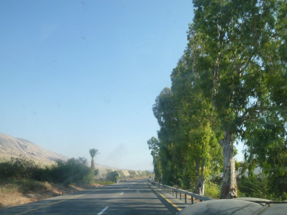 P1000868