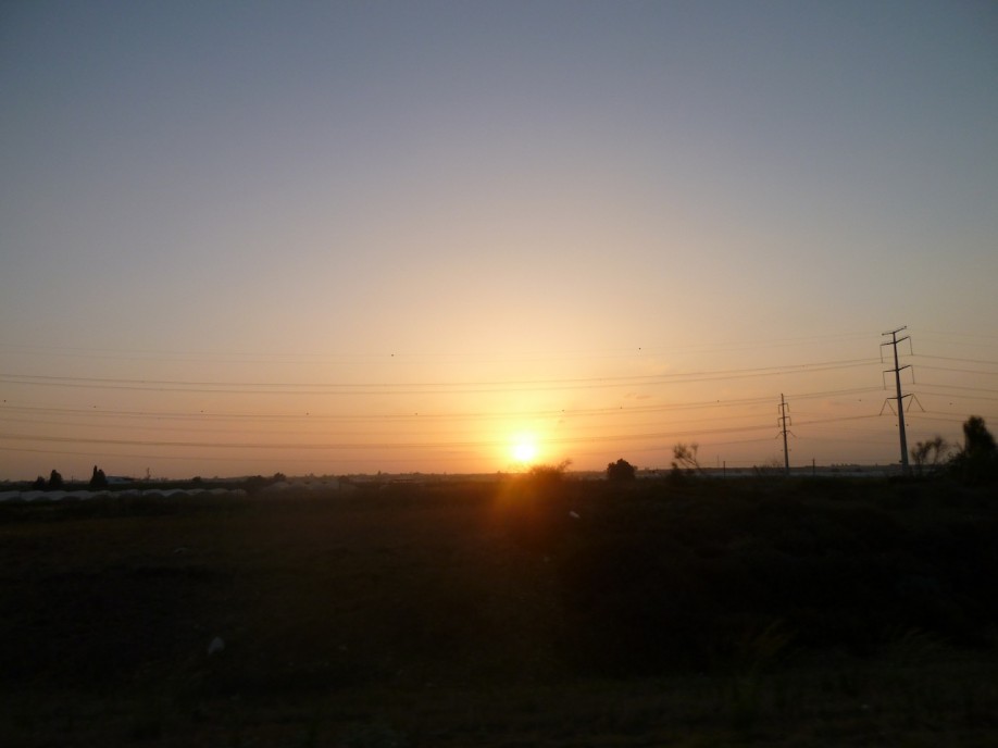 P1000957
