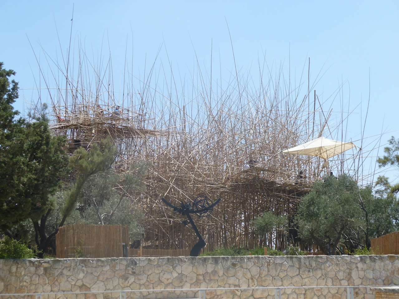 P1000981