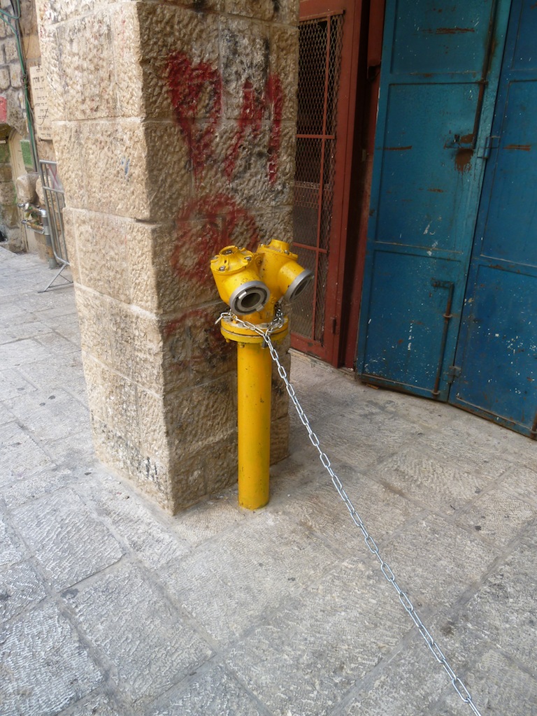 P1010230