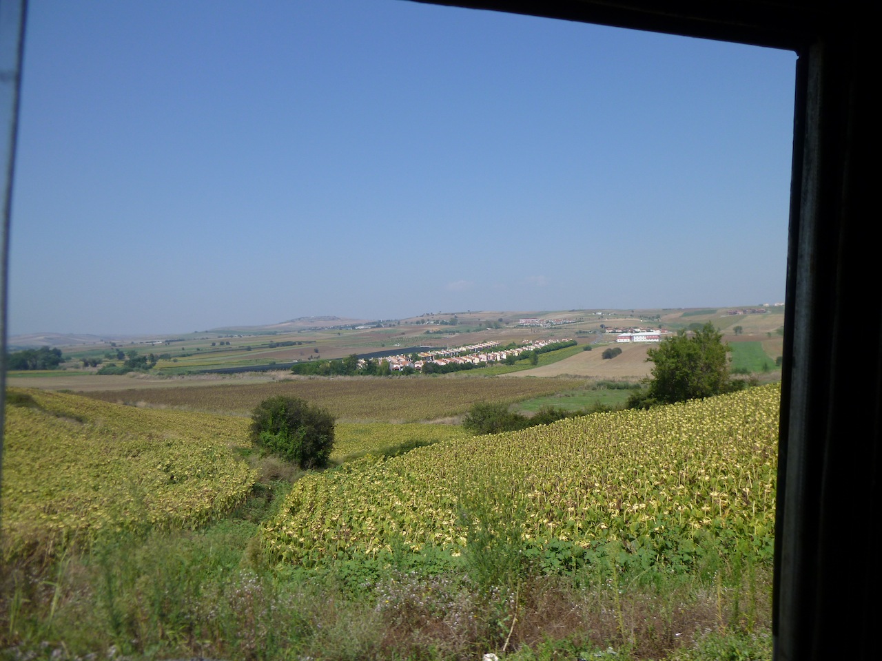 P1000333