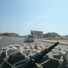 P1050741