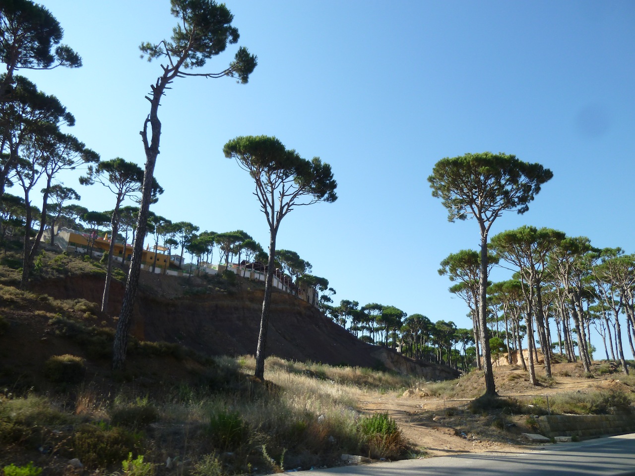 P1050890
