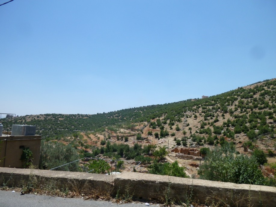 P1060352