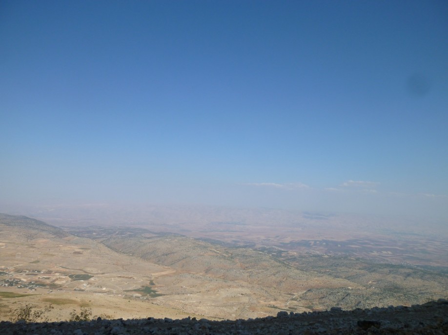 P1060446