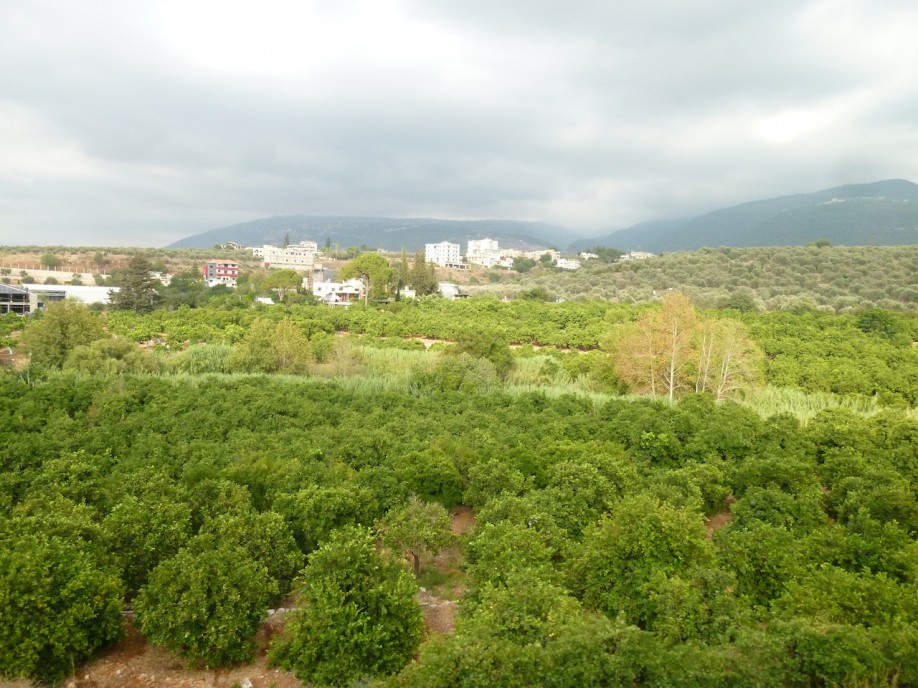 P1060734