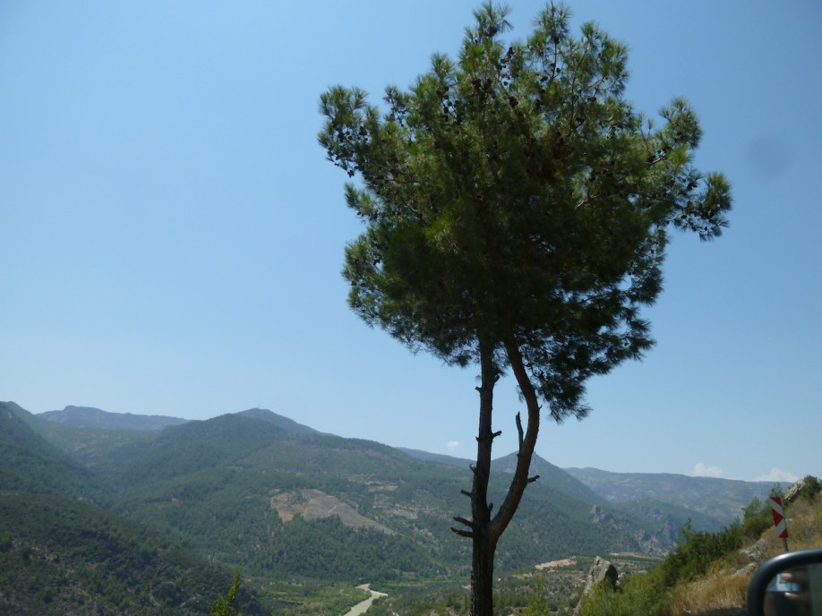 P1060904