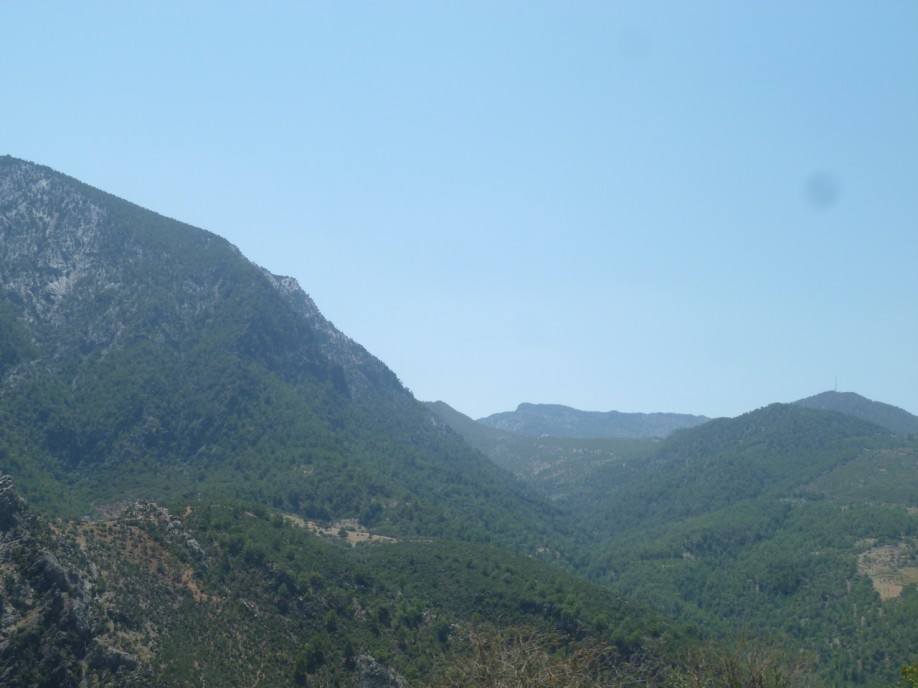 P1060905