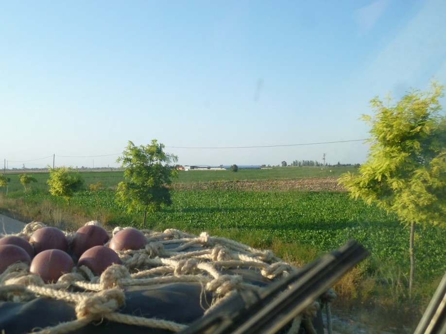 P1070028