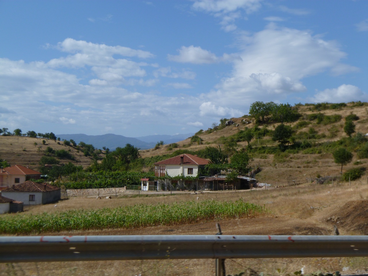 P1000587