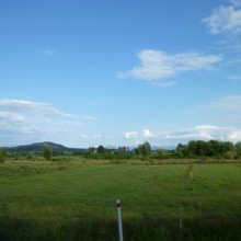 P1000904