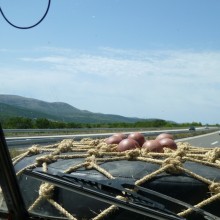 P1010094