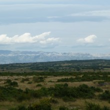 P1010098