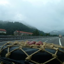 P1010194
