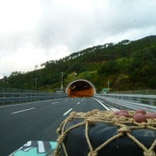P1010207