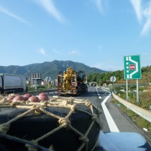 P1010233