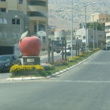 P1000621