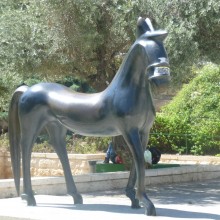 P1010364