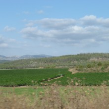 P1040415