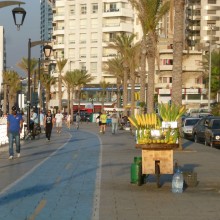 P1050241